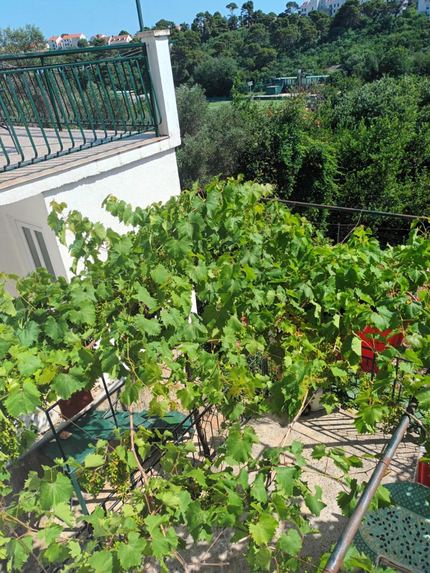 Apartment Jo Dubrovnik Kültér fotó